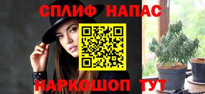 тгк Камышлов