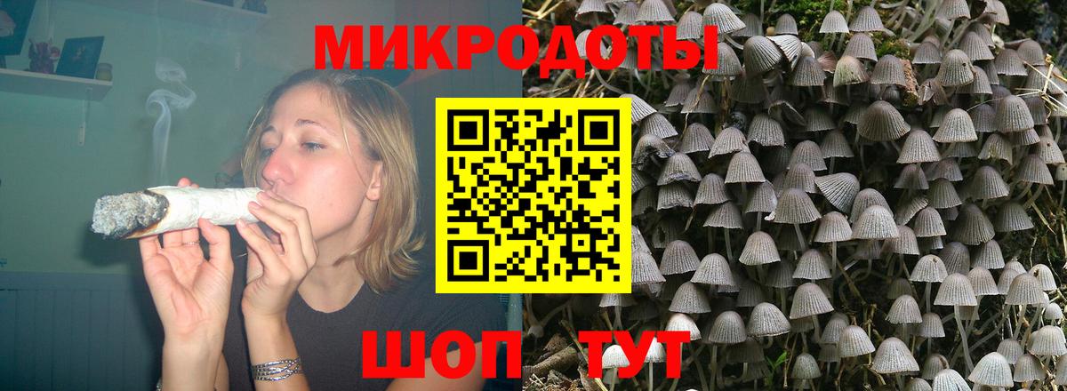 где купить наркотик  Вход с VPN  Псилоцибиновые грибы MAGIC MUSHROOMS  Хасавюрт  Галлюциногенные грибы MAGIC MUSHROOMS 